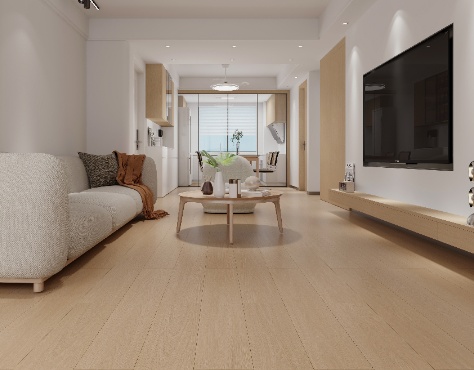 PK7151e繁星共舞1_resized_docsmall.com